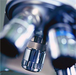 ��ɫ����